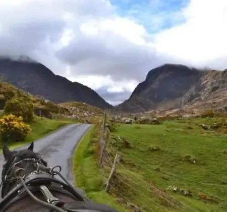 V93c9r0 Stone View Wonderful Spacious Two Bed Attic Private Entrance Private Bathroom With Kitchenette Appartement *