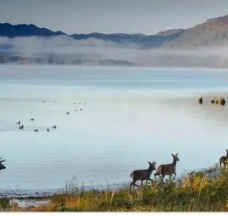 Apartmán V93c9r0 Stone View Wonderful Spacious Two Bed Attic Private Entrance Private Bathroom With Kitchenette Killarney