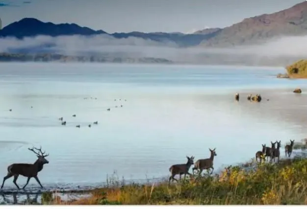 شقة V93c9r0 Stone View Wonderful Spacious Two Bed Attic Private Entrance Private Bathroom With Kitchenette كيلارني