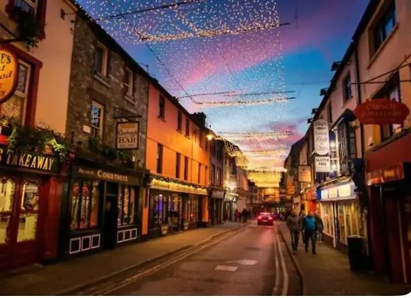 شقة V93c9r0 Stone View Wonderful Spacious Two Bed Attic Private Entrance Private Bathroom With Kitchenette كيلارني